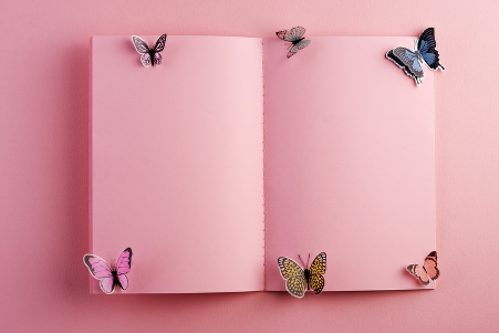 pink journal with butterflies